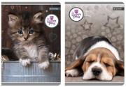 Opakowanie Zeszyt A5 w kratkę 60 kartek The Sweet Pets 5 sztuk mix