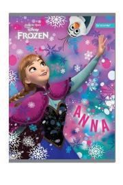 Opakowanie Zeszyt A5 w trzy linie 16 kartek Kraina Lodu 10 sztuk mix