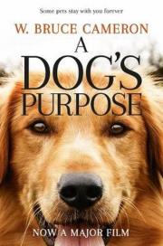 A Dog's Purpose. Autor: W. Bruce Cameron. Dadada.pl Okładka książki A Dog's Purpose