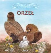 Dzikie zwierzęta w naturze. Orzeł. Autor: Patrycja Zarawska. Dadada.pl Okładka książki Dzikie zwierzęta w naturze. Orzeł