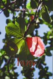 Inny. Autor: Starostecka Aleksandra J.. Dadada.pl Okładka książki Inny