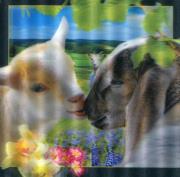 Pocztówka 3D Wielkanocne baranki. Wydawca: Worth Keeping. Dadada.pl Opakowanie Pocztówka 3D Wielkanocne baranki