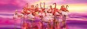 Puzzle 1000 Panorama Flamingo. Wydawca: Clementoni. Dadada.pl Opakowanie Puzzle 1000 Panorama Flamingo