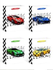 Opakowanie Torebka upominkowa KR 1284 L