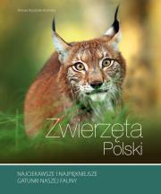 Zwierzęta Polski. Autor: Krzyściak-Kosińska Renata. Dadada.pl Okładka książki Zwierzęta Polski