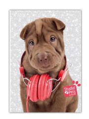 Opakowanie Błyszczący Pamiętnik Studio Pets PEJ-3660