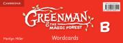 Okładka książki Greenman and the Magic Forest B Wordcards (Pack of 48)
