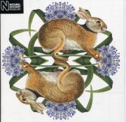 Opakowanie Karnet kwadrat z kopertą European Brown Hare