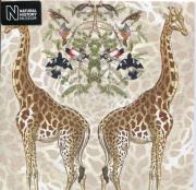 Opakowanie Karnet kwadrat z kopertą Giraffe