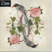 Opakowanie Karnet kwadrat z kopertą Red-billed Blue Magpie