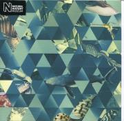 Opakowanie Karnet kwadrat z kopertą Sealife