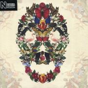 Opakowanie Karnet kwadrat z kopertą Skull of Life