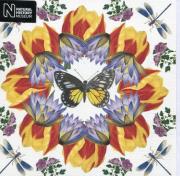 Opakowanie Karnet kwadrat z kopertą White Jezebel