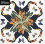 Opakowanie Karnet kwadrat z kopertą White-throated Toucan