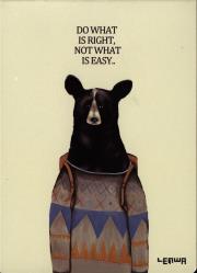 Opakowanie Kołonotes B5 Niedźwiedź