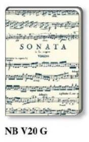 Opakowanie Notatnik ozdobny A6 NB V20 G ROSSI