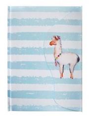 Opakowanie Notes A5/80K Lama