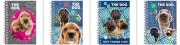 Opakowanie Notes spiralny A6 The Dog (10szt) DERFORM