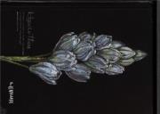 Opakowanie Notes szkicownik A6 Hiacynt