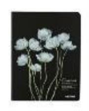 Opakowanie Notes szkicownik A6 Krokus