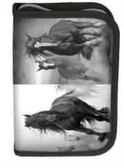 Opakowanie Piórnik Horse 17-001HO/B PASO