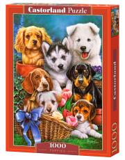 Puzzle 1000 Puppies. Wydawca: Castorland. Dadada.pl Opakowanie Puzzle 1000 Puppies