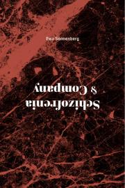 Schizofrenia & Company. Autor: Sonnenberg Ewa. Dadada.pl Okładka książki Schizofrenia & Company