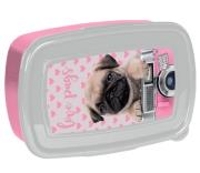 Opakowanie Śniadaniówka Studio Pets PEY-3022