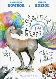 Okładka książki Stajnia pod tęczą Część 1 Czary na komary