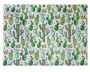 Opakowanie Teczka A4 Kaktus