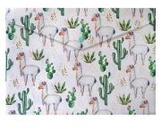 Opakowanie Teczka A4 Lama Kaktus