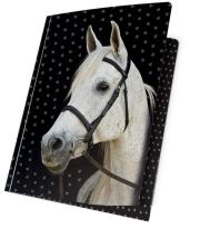 Opakowanie Teczka z gumką A4 18-109HS PASO