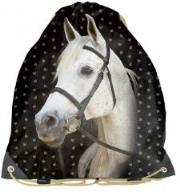 Opakowanie Worek na buty 18-712HS