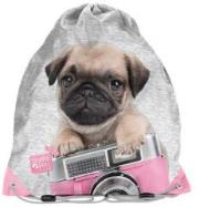 Opakowanie Worek na buty Studio Pets PEY-712