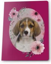 Opakowanie Zeszyt A5/16K kratka (5szt) PASO