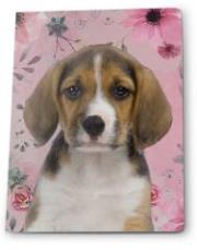 Opakowanie Zeszyt A5/16K linia (5szt) PASO