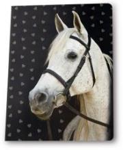 Opakowanie Zeszyt A5/16K linia PASO