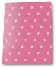 Opakowanie Zeszyt A5/16K linia Rachael Hale (5szt) PASO