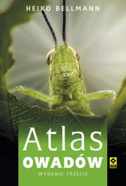 Atlas owadów. Autor: Bellmann Heiko. Dadada.pl Okładka książki Atlas owadów