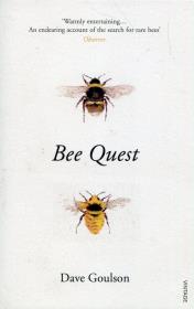 Bee Quest. Autor: Dave Goulson. Dadada.pl Okładka książki Bee Quest