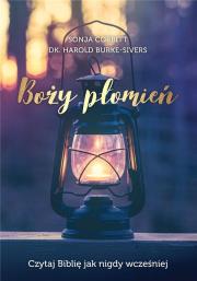 Okładka książki Boży płomień. Czytaj Biblię jak nigdy wcześniej