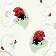 Okładka książki Karnet Swarovski kwadrat Biedronki