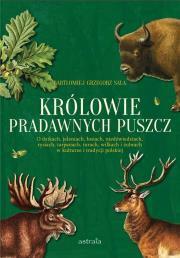 Królowie pradawnych puszcz. Autor: Bartłomiej Grzegorz Sala. Dadada.pl Okładka książki Królowie pradawnych puszcz