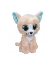 Opakowanie Lumo Cat Autumn big