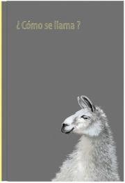 Opakowanie Notes Gee Llama 13,5x19,5 NARCISSUS