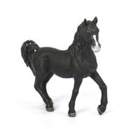 Opakowanie Ogier rasy Arabskiej