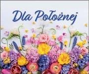 Perełka 284 Dla Położnej. Autor: Opracowanie zbiorowe. Dadada.pl Okładka książki Perełka 284 Dla Położnej