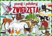 Poznaj i pokoloruj zwierzęta. Autor: Tonder Krzysztof. Dadada.pl Okładka książki Poznaj i pokoloruj zwierzęta