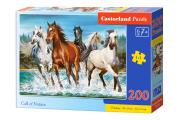 Opakowanie Puzzle 200 Call of Nature CASTOR