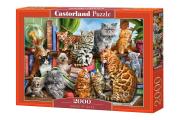 Opakowanie Puzzle 2000 House of Cats
